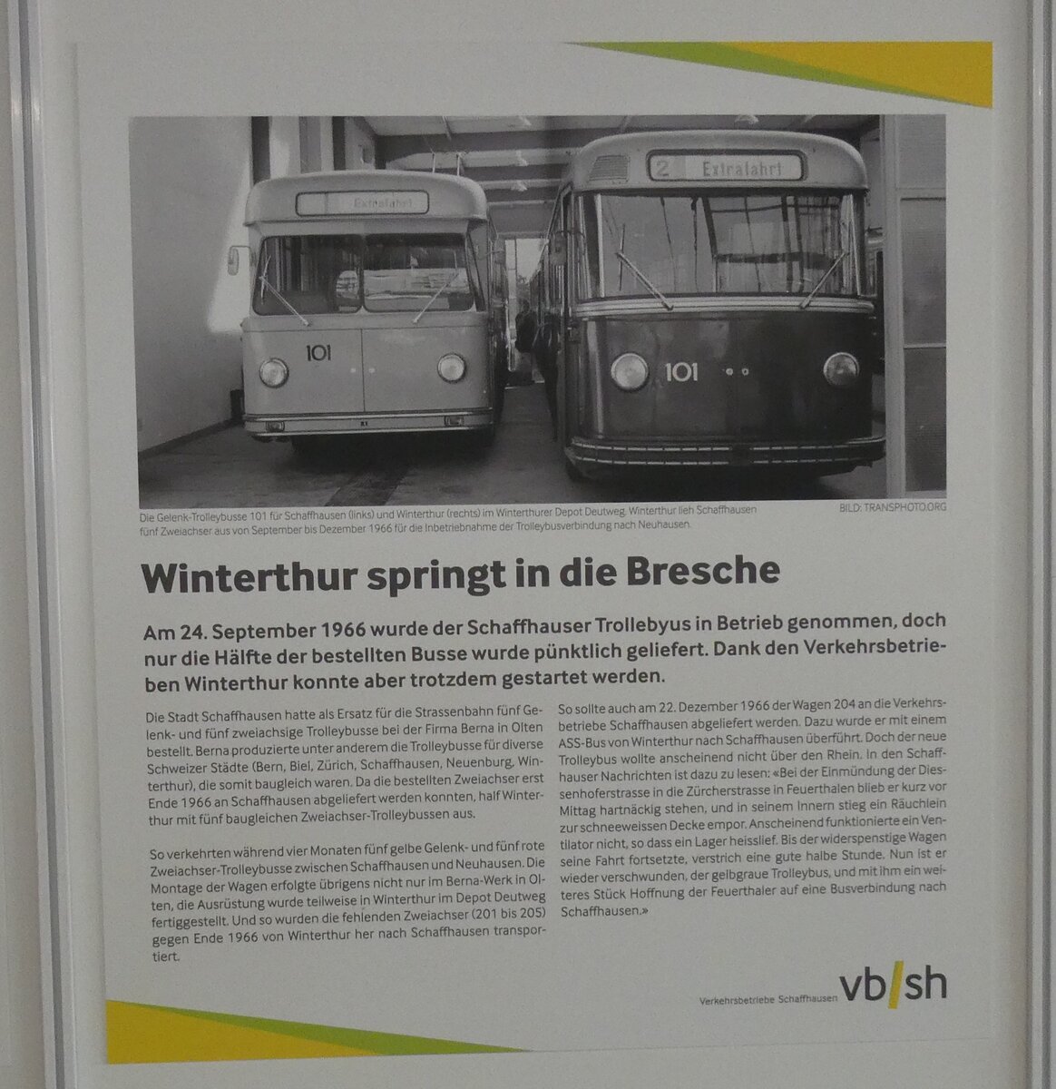 (286'105) - Winterthur springt in die Bresche: Da bei der Er�ffnung am 24. September 1966 nur die H�lfte der bestellten Schaffhauser Trolleybusse geliefert wurden, konnte Dank den Verkehrsbetrieben Winterthur trotzdem gestartet werden. Plakat mit den beiden Gelenktrolleybussen Nr. 101 aus Schaffhausen und Winterthur am 11. April am Jubil�um 125 Jahre VBSH Schaffhausen.