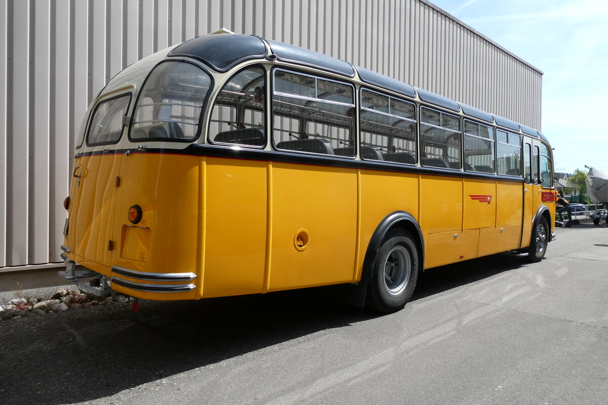 (286'600) - Wegm�ller, Attikon - ZH 21'783 - FBW/Gangloff Iex P 24'037; ex P 21'537) am 2. Mai 2026 in Attikon, Wegm�ller