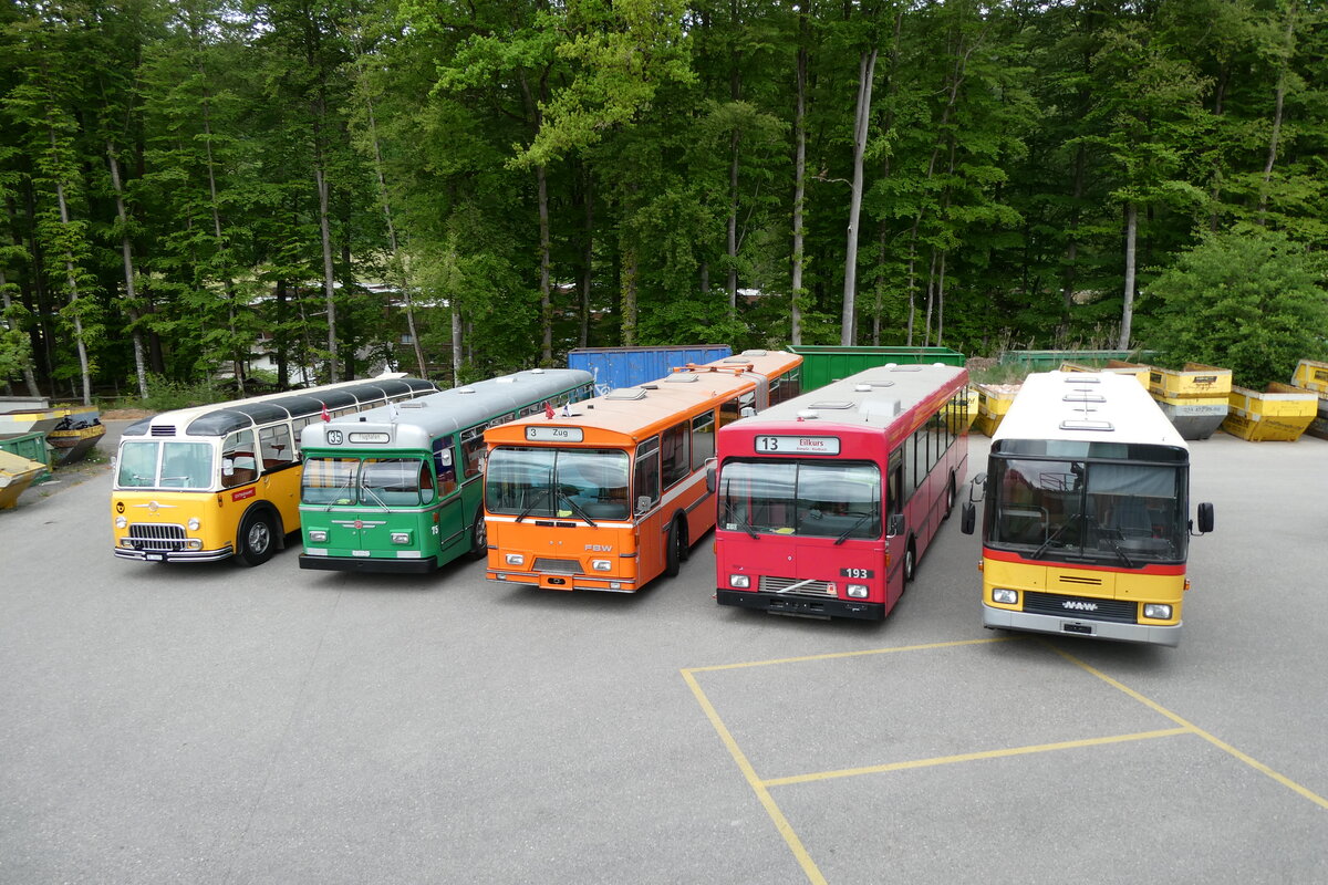 (286'758) - Gast, Reutigen . BE 24'079 - FBW/FHS (ex Nr. 1; ex Lambach, Gommiswald; ex Hotz, Rickenbach bei Wil/G; ex P 24'079; ex P 21'579) + BVB Basel (RWB) - Nr. 75/SO 202'621 - FBW/FHS + ZVB Zug (RWB) - Nr. 35 - FBW/Hess + Bernmobil, Bern (SOB) - Nr. 193 - Volvo/Gangloff + ??? - NAW/Hess (ex Widmer, Bern; ex Lombardi, Winterthur; ex Wohlgemuth, Hochwald PID 2208) am 3. Mai 2026 in Burgdorf, �kihof Ziegelgut