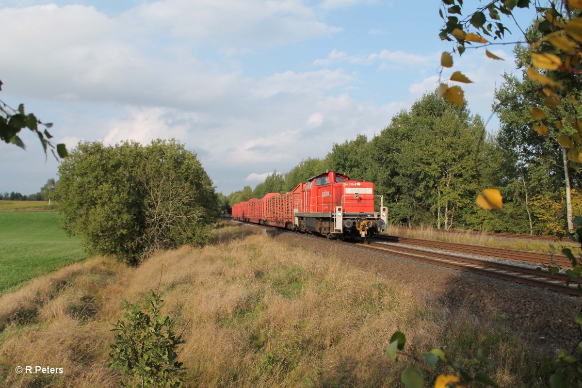 294 599-4 mit der bergabe 56960 Marktredwitz - Wiesau bei schnfeld. 26.09.13