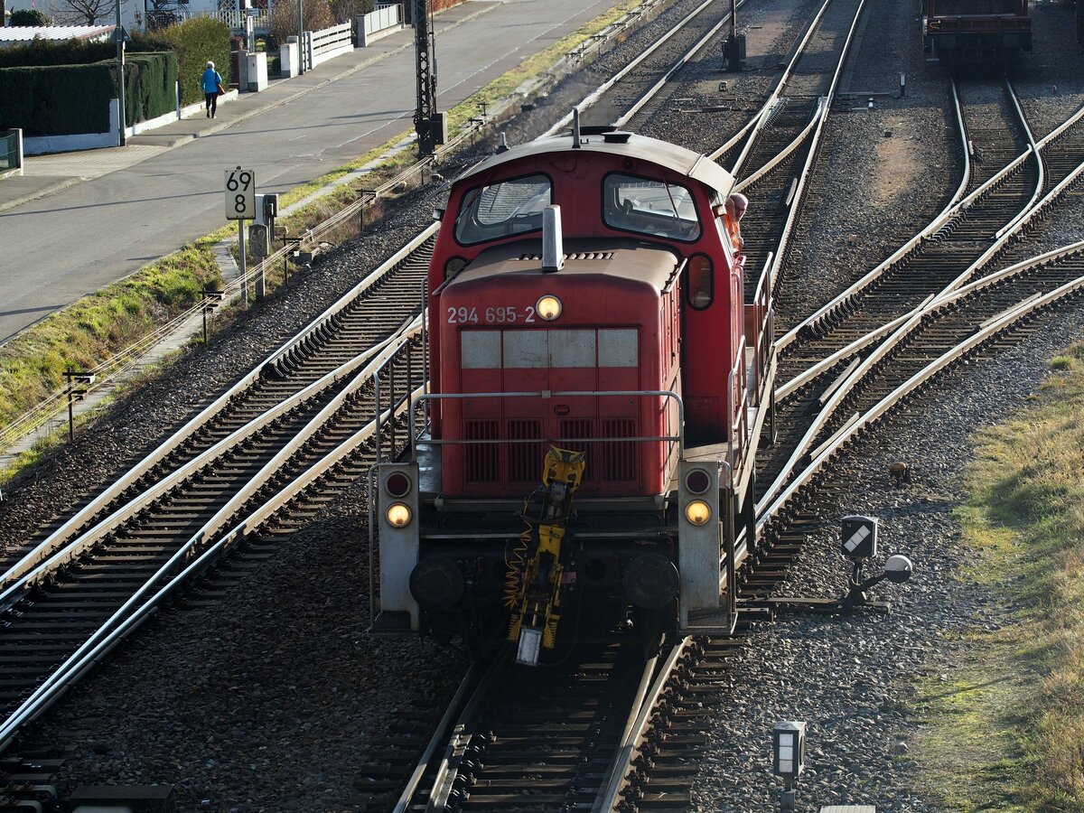 294 695-2 in Vöhringen am 07.01.2020.