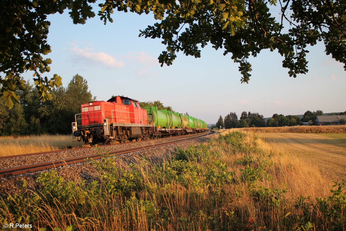 294 750-5 mit dem Müllzug Üg53904 nach Bayreuth bei Etzenricht kurz vor Weiden. 21.07.22