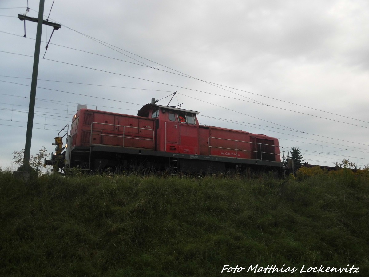 294 754 in Delitzsch auf dem Anschlussgleis zum SFW am 22.9.15