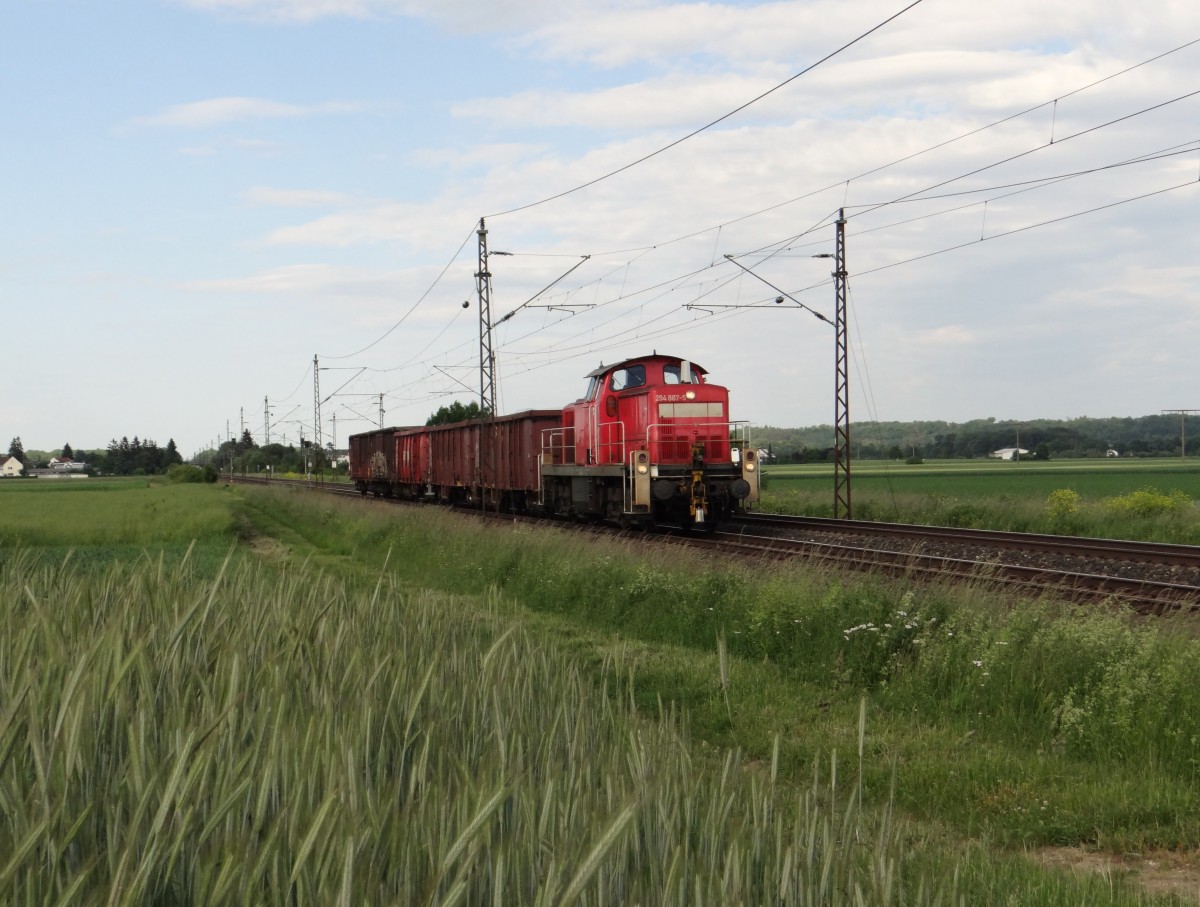 294 887-5 zu sehen am 03.06.15 in Neu-Ulm.