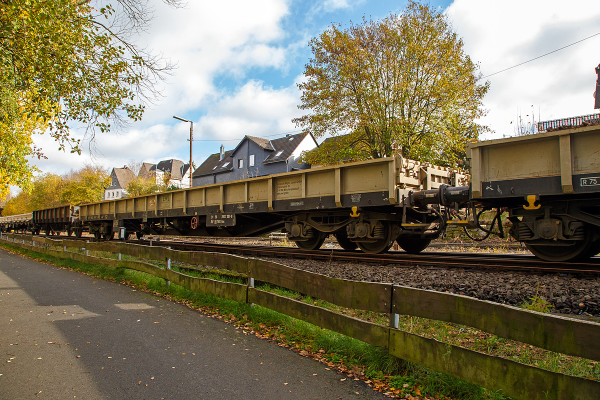 
4-achsiger Drehgestellflachwagen, mit Stahlboden, festen Seitenwänden und Stirnwandklappen, 31 56 3937 207-9 SK-TWG, der Gattung Res, der Vermietungsfirma European Wagon Lease Asset GmbH & Co. KGaA., am 04.11.2020 im Zugverband in Herdorf.

TECHNISCHE DATEN:
Spurweite: 1.435 mm (Normalspur)
Gattung/Bauart: Res
Anzahl der Achsen: 4 in 2 Drehgestellen
Länge über Puffer: 19.900 mm
Drehzapfenabstand:  14.860 mm
Achsabstand in den Drehgestellen: 1.800 mm
Eigengewicht: 24.550 kg
Ladelänge: 18.600 mm
Ladefläche: 48,9 m²
Höhe Fußboden: 1.298 mm
Maximale Ladegewicht: 57,4 t (Streckenklasse C)
Höchstgeschwindigkeit: 100 km/h (beladen) / 120 km/h (leer)
Kleinster befahrbarer Gleisbogenhalbmesser: R 75 m
Feststellbremse: ja
Bauart der Bremse: DK – GP  SZ 10
Intern. Verwendungsfähigkeit:  RIV
