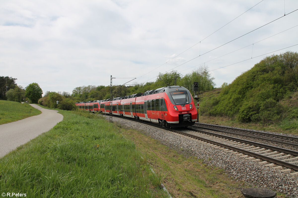 442 229-1  Dombühl  als S1 39155 Bamberg - Neumarkt/Oberpfalz bei Pölling. 28.04.24