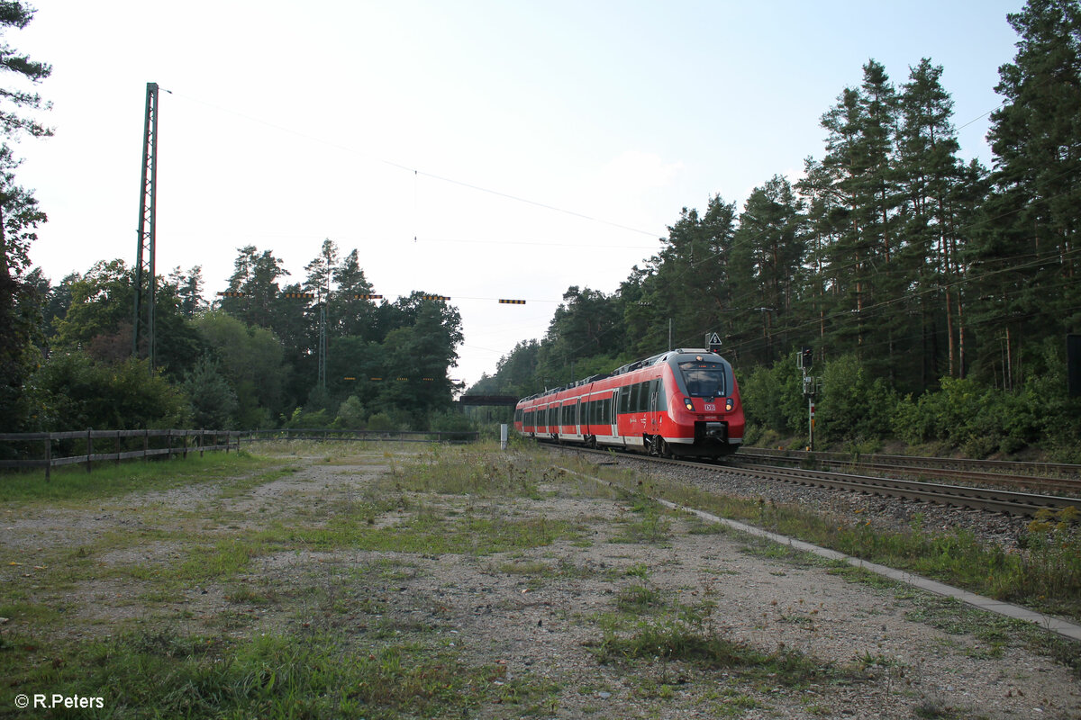 442 243 als S3 39359 Nürnberg - Neumarkt/Oberpfalz in Ohenbruk. 10.09.23