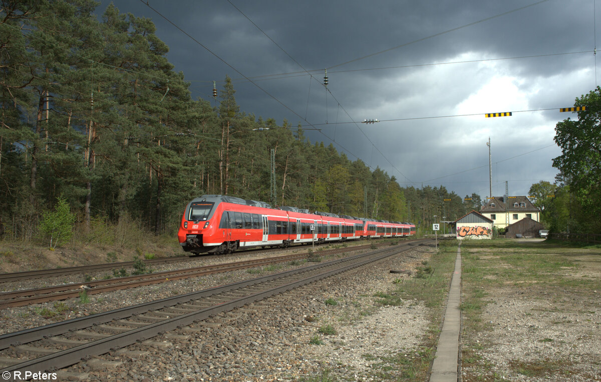 442 249 als S1 S39176 Neumarkt/Oberpfalz - Fürth in Ochenbruck. 18.04.24