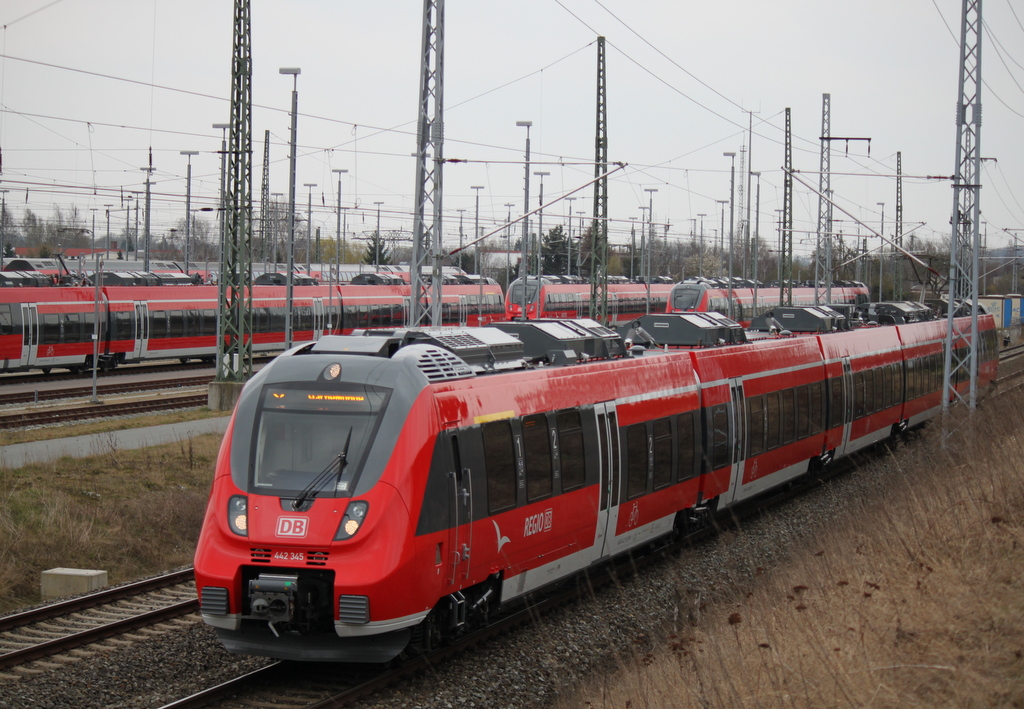 442 345-5 als S2 von Gstrow nach Warnemnde bei der Einfahrt im Rostocker Hbf links steht die restliche Hamster-Familie.21.03.2014