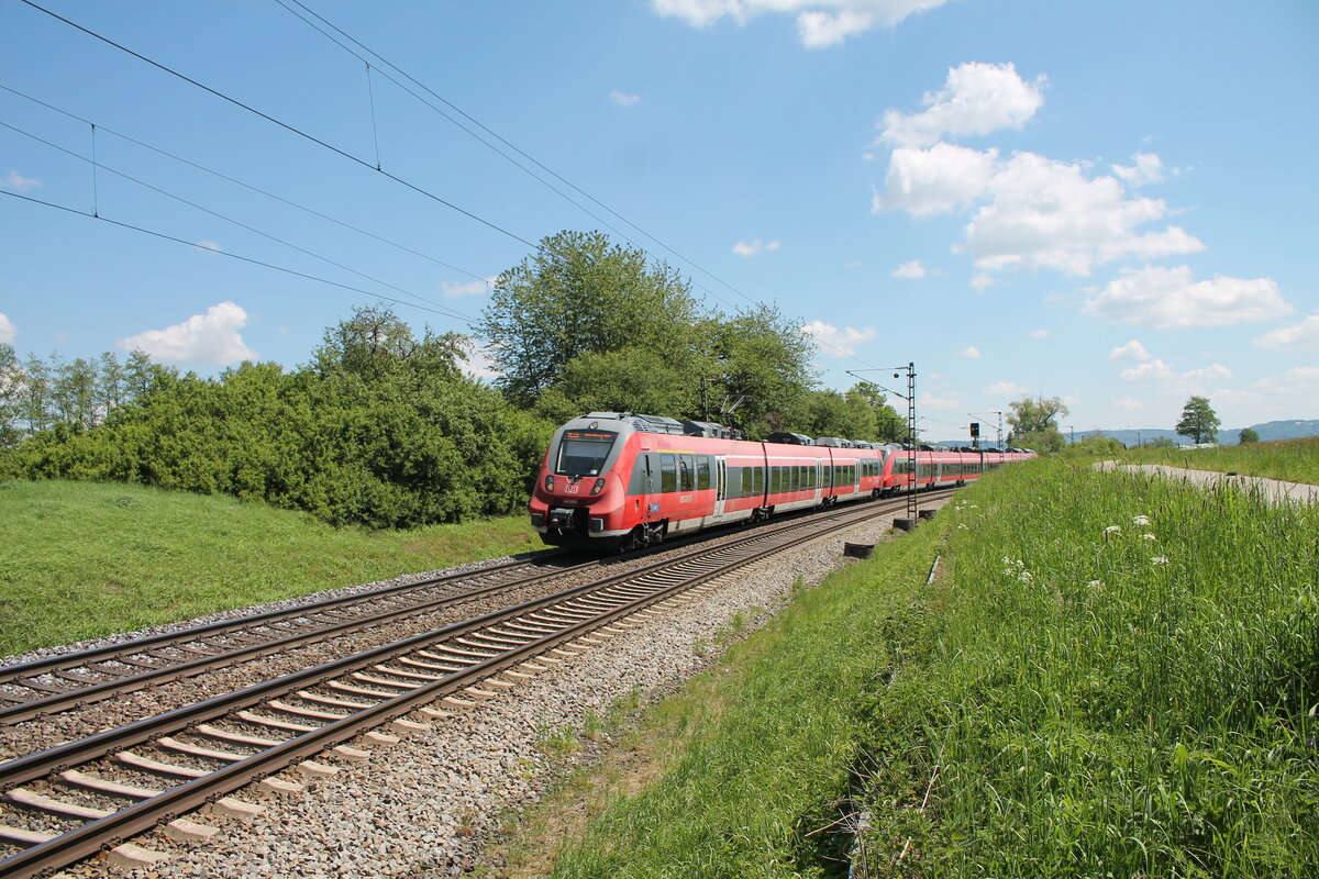 442 605  Stockheim  als S1 39152 Neumarkt/Oberpfalz - Fürth bei Pölling. 14.05.24 