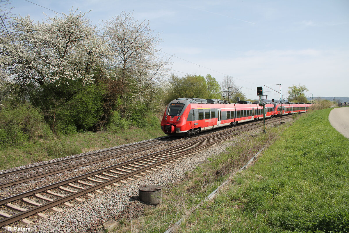 442 607+ 442 306 als S1 S39152 Neumarkt/Oberpfalz - Bamberg bei Pölling. 07.04.24