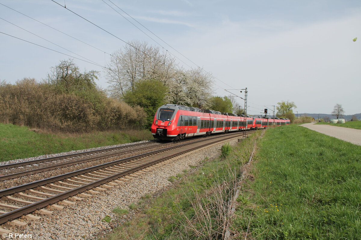 442 736 als S1 39170 Neumarkt/Oberpfalz - Fürth bei Pölling. 07.04.24