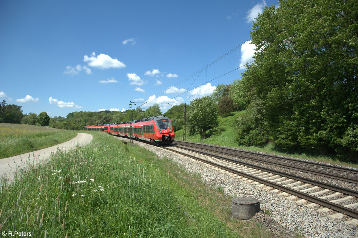 442 743 als S1 39143 Bamberg - Neumarkt/Oberpfalz bei Pölling. 14.05.24