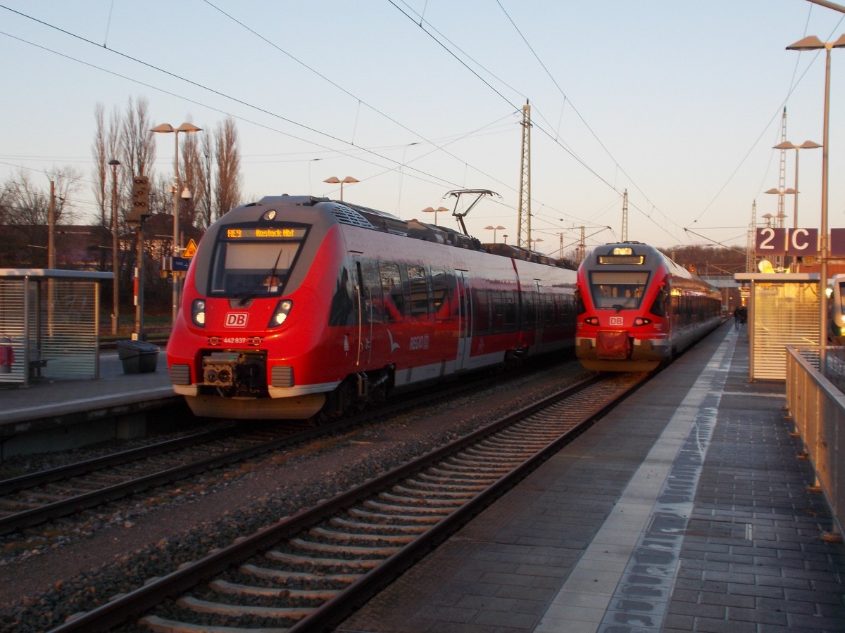 442 847 und ein 429 traffen sich,am 24.November 2014,in Bergen/Rügen.