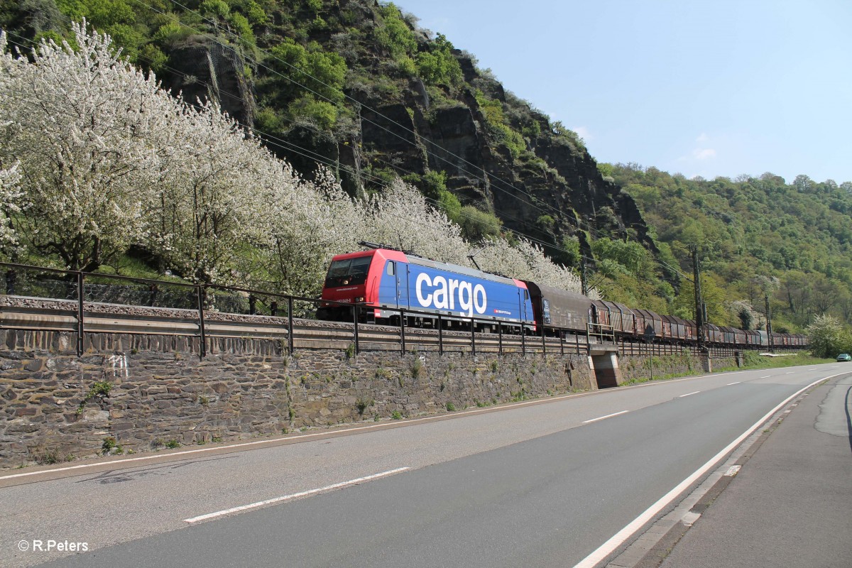 482 048-6 mit einem Coiltransportzug kurz vor der Loreley. 22.04.15