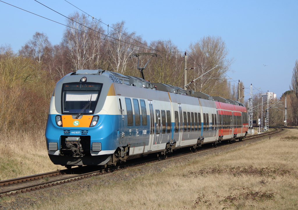  50 Jahre Rostocker S-Bahn  442 837-1 am 22.03.2025 in Rostock-Lichtenhagen.