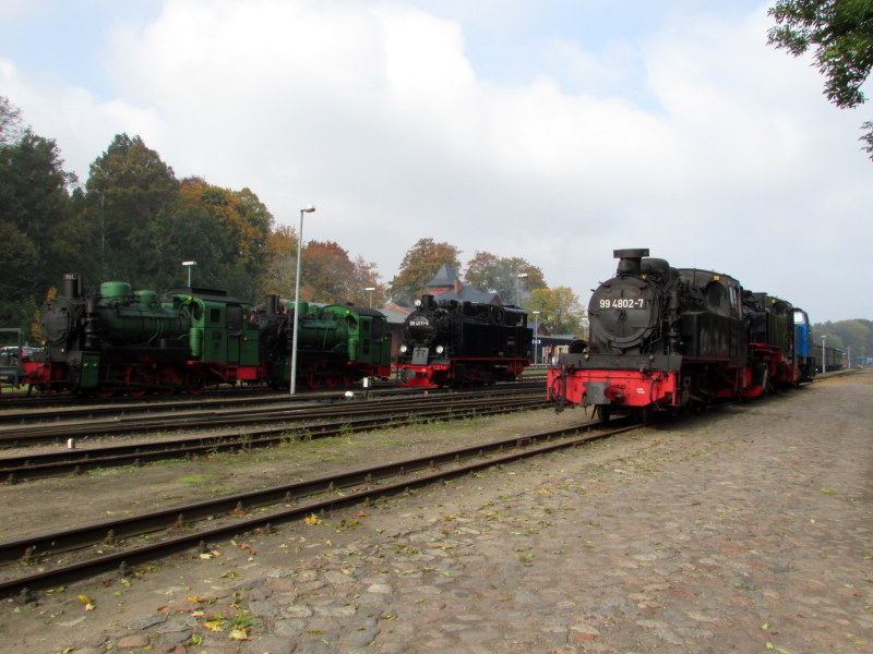 6 Grazien in Putbus.
53 Mh(99 4633),52 Mh(99 4632),99 4011-5,99 4802-7,99 1784-0 und 251 901-5 am 11.Okt.2013 in Putbus