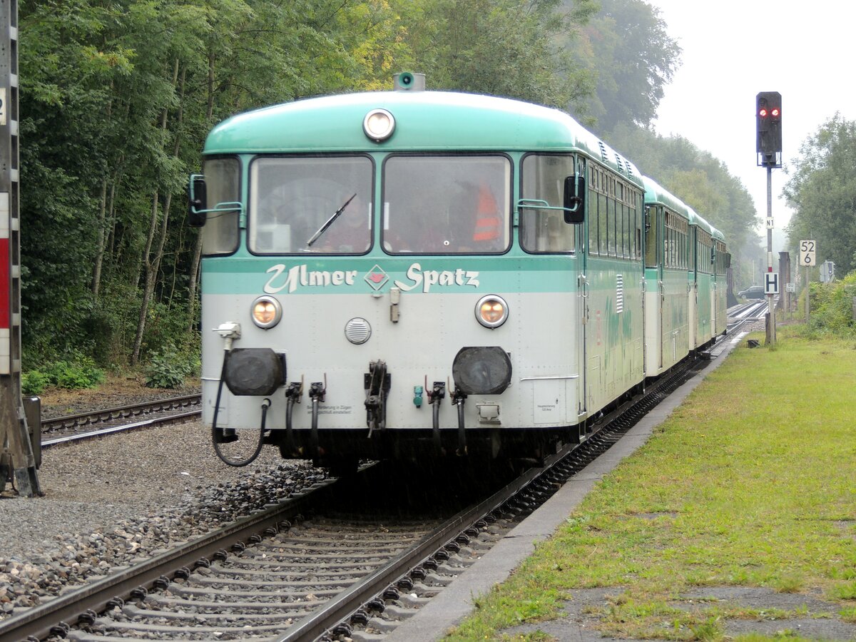 798 653 Ulmer Spatz in Rechtenstein am 14.09.2013.