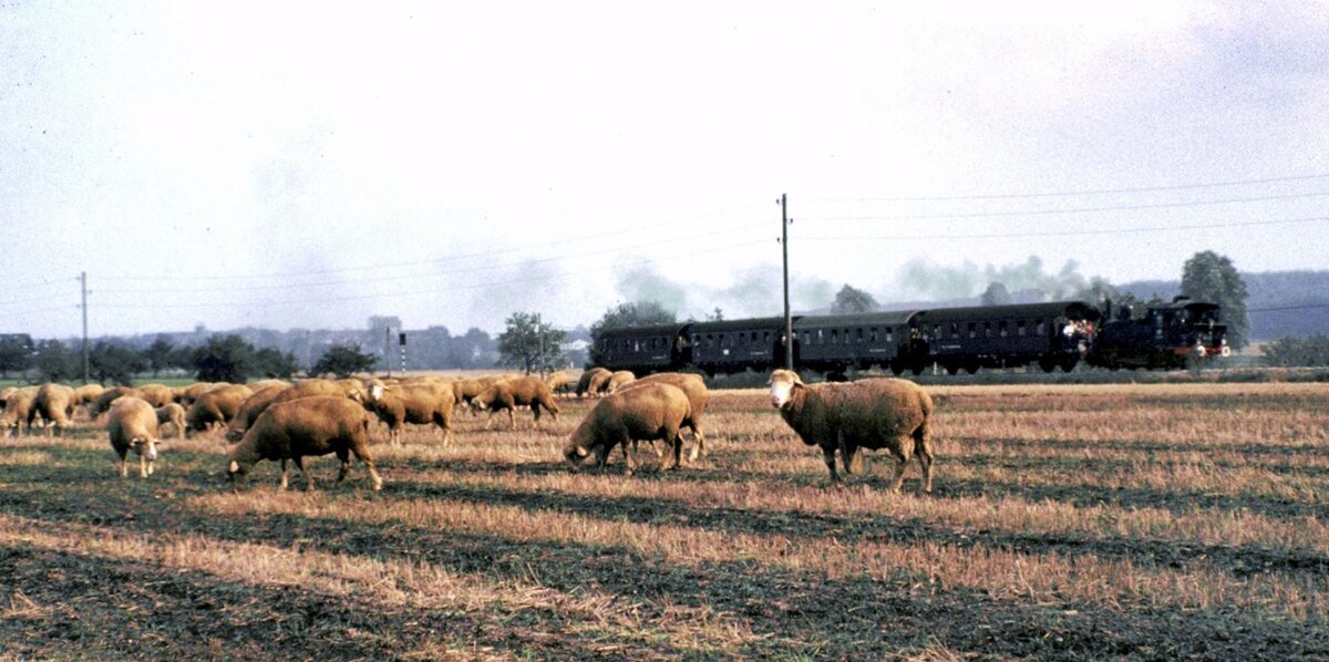98 812 vor Amstetten am 03.10.1982.