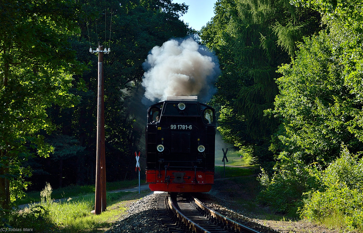 99 1781-6 mit P 231 zwischen Garftitz und Sellin West am 19.07.2016