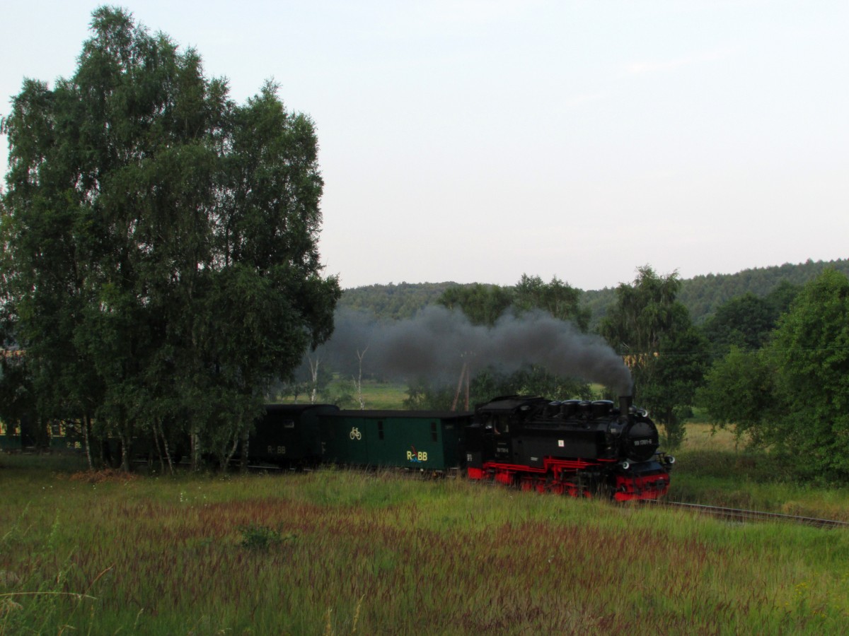 99 1781-6 passiert mit P 232 die Birkenkurve vor Seelvitz,eine der schönsten Stellen der RüBB. Aufgenommen am 28.07.2014