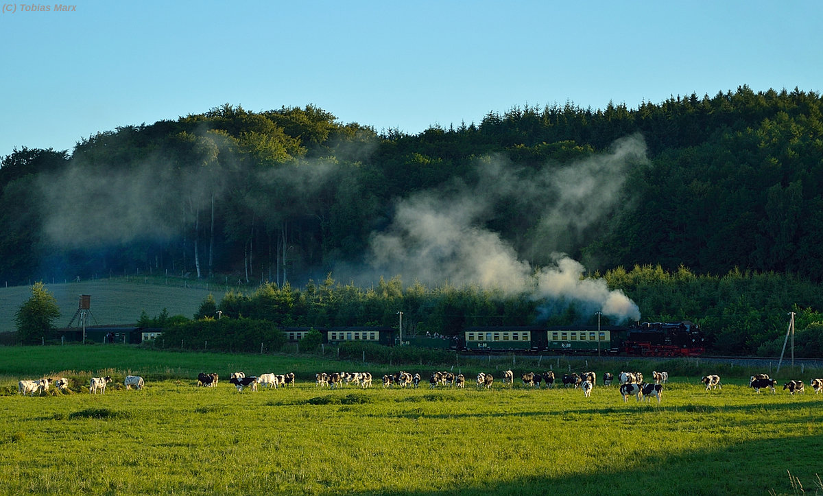 99 1782-4 mit P 113 zwischen Seelvitz und Serams am 20.07.2016