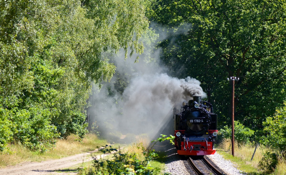 99 1782-4 nhert sich mit P 226 den Ausgang der Wittboe am 03.08.2015