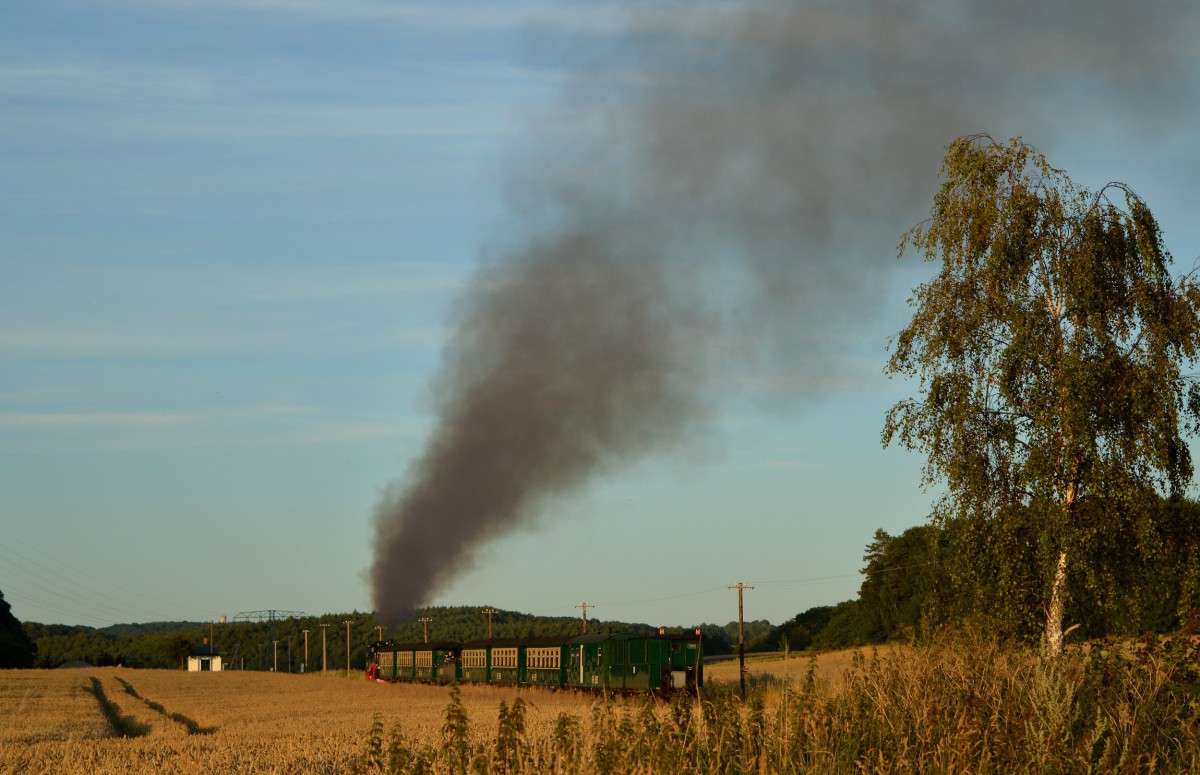 99 1784-0 strebt mit P 113 auf den Hp.Seelvitz am 05.08.2015 zu