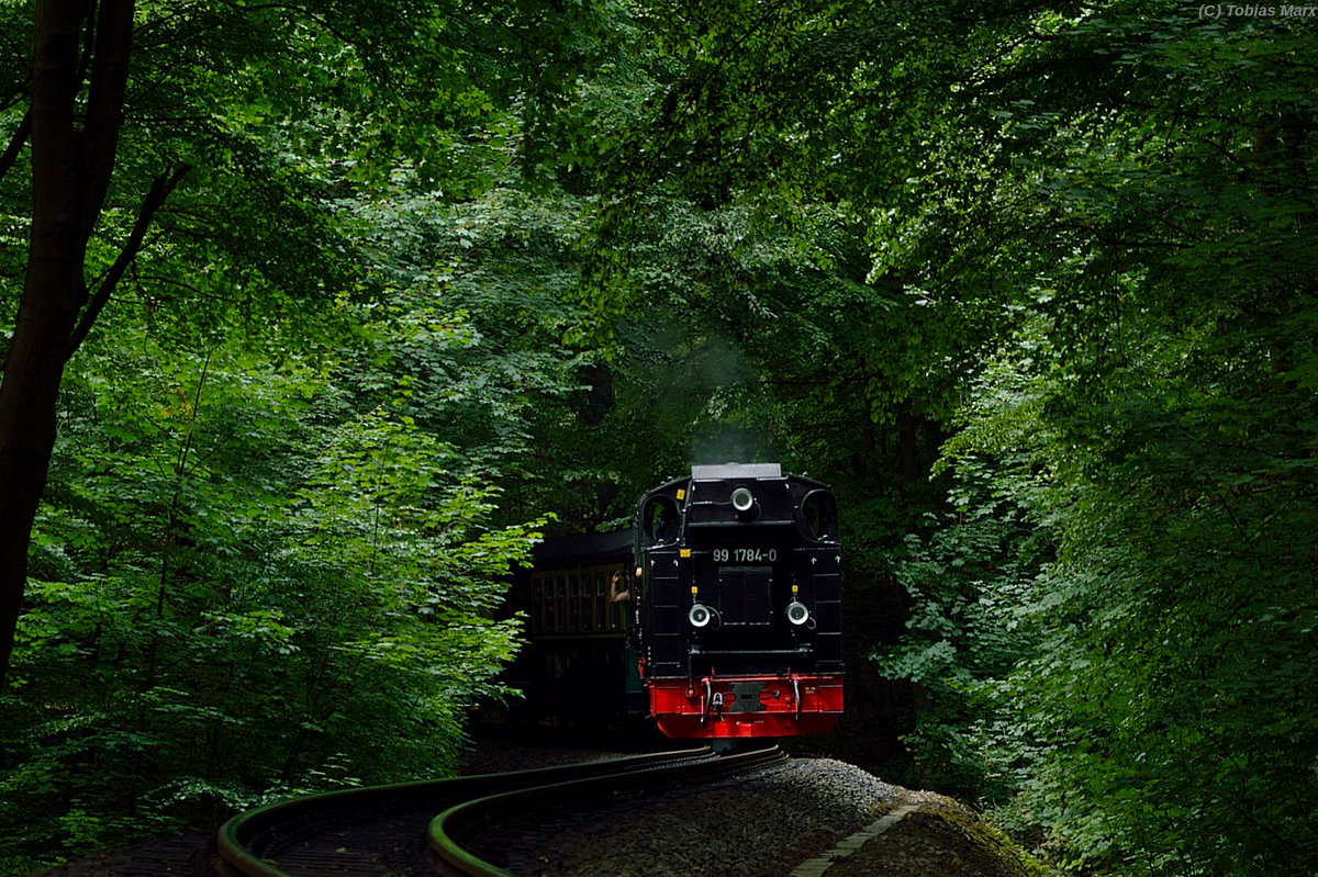 99 1784-0 zwischen Jagdschloß und Garftitz mit P 105 am 19.07.2016