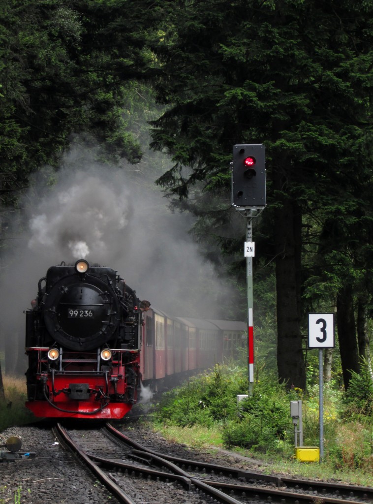 99 236 rollt mit P 8922 in den Bahnhof Schierke am 13.08.2014 ein