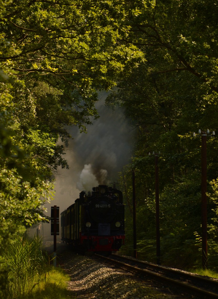 99 4011-5 rollt mit P 104 durch die Baaber Heide zwischen Göhren und Philippshagen am 06.08.2015