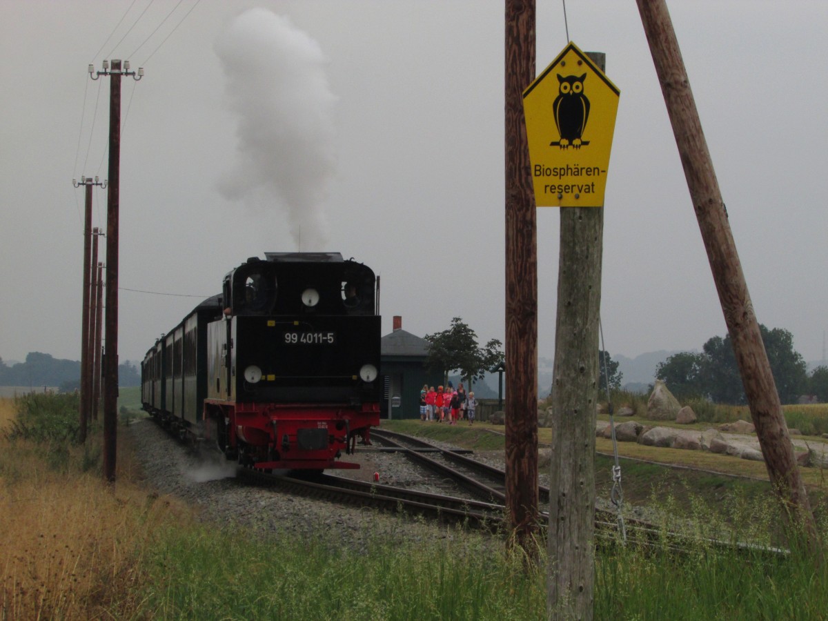 99 4011-5 stört nur kurz die Ruhe im Biosphärenreservat mit dem P 107 am 30.07.2014