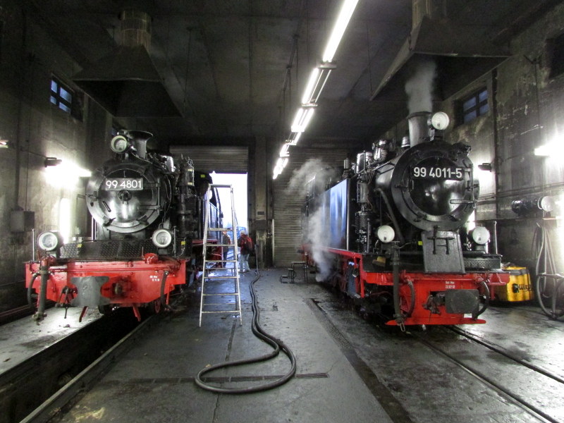 99 4801 und 99 4011-5 schlafen noch im Lokschuppen Putbus am 13.Okt.13