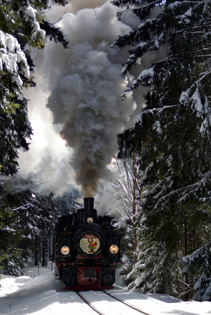 99 5901 bei der Ausfahrt aus Schierke mit dem Traditionszug am 03.04.2015 (2)