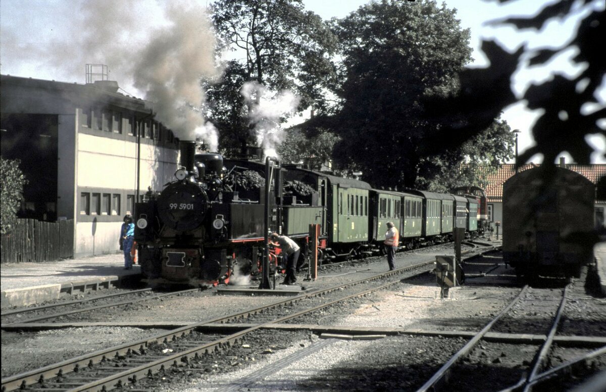 99 5901 und Traditionslok 99 5903 vor Traditionszug in Werningerode am 31.07.1999.