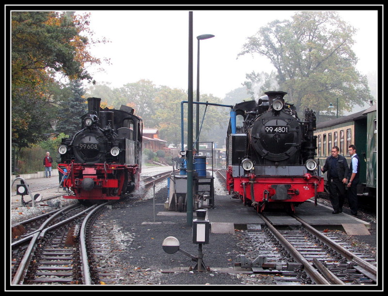 99 608 und 99 4801 haben sich am 13.Okt.2013 in G�hren f�r die Fotografen neben einander gestellt.