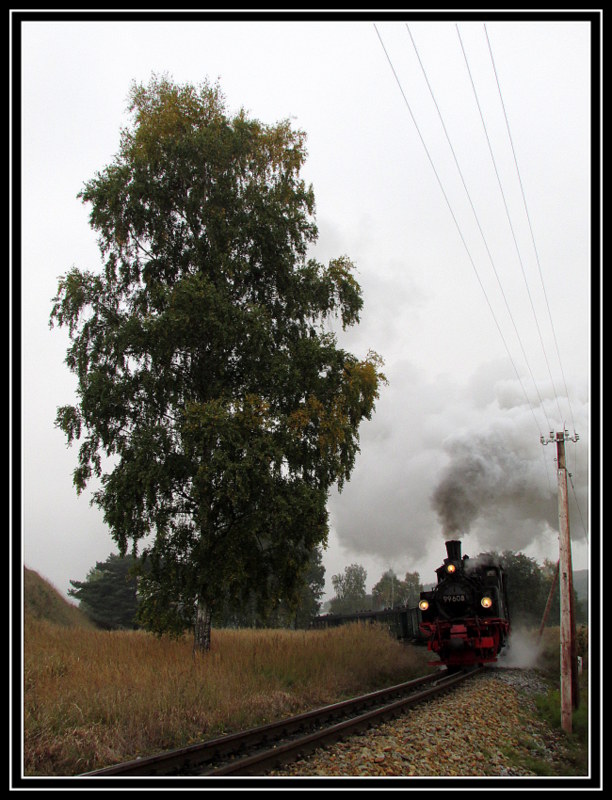 99 608 bei der Scheinanfahrt in der berhmten Birkenkurve vor Seelvitz am 13.Okt.2013