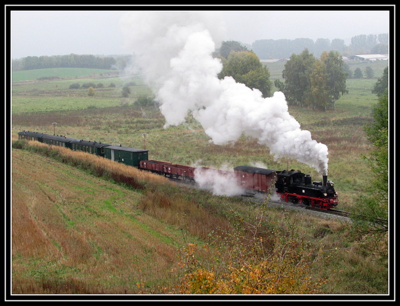 99 608 bei einer Scheinanfahrt vor Seelvitz. Diese Scheinanfahrt war in der ber�hmten Birkenkurve vor Seelvitz am 13.Okt.2013.
