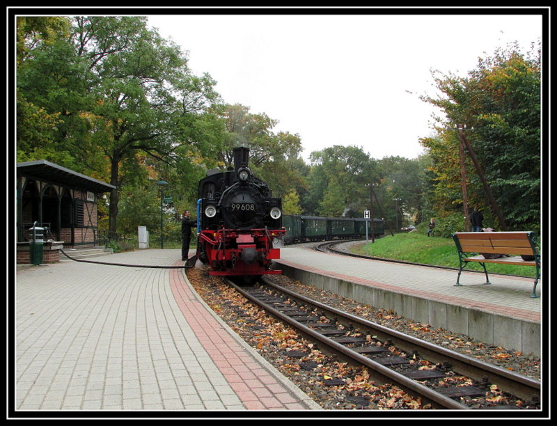 99 608 beim Wassernehmen in Sellin Ost am 13.Okt.2013