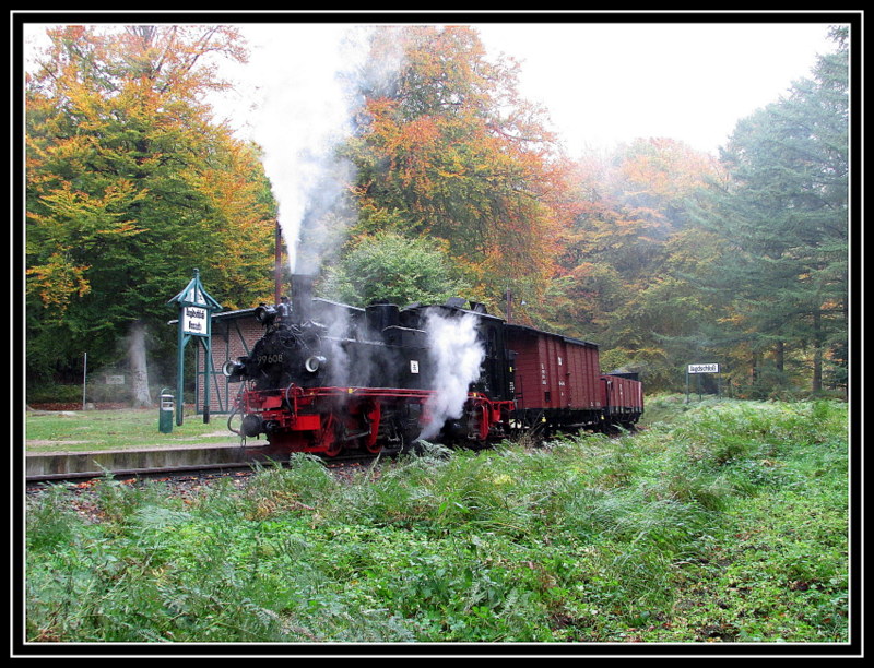 99 608 hat am 13.Okt.2013 den Jagdschlo�berg gemeistert und steht hier zum Fothalt am Hp Jagdschlo�