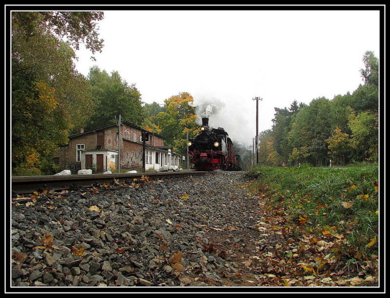 99 608 mit ihrem Sonderzug bei der Scheinanfahrt in Philipshagen am 13.Okt.2013