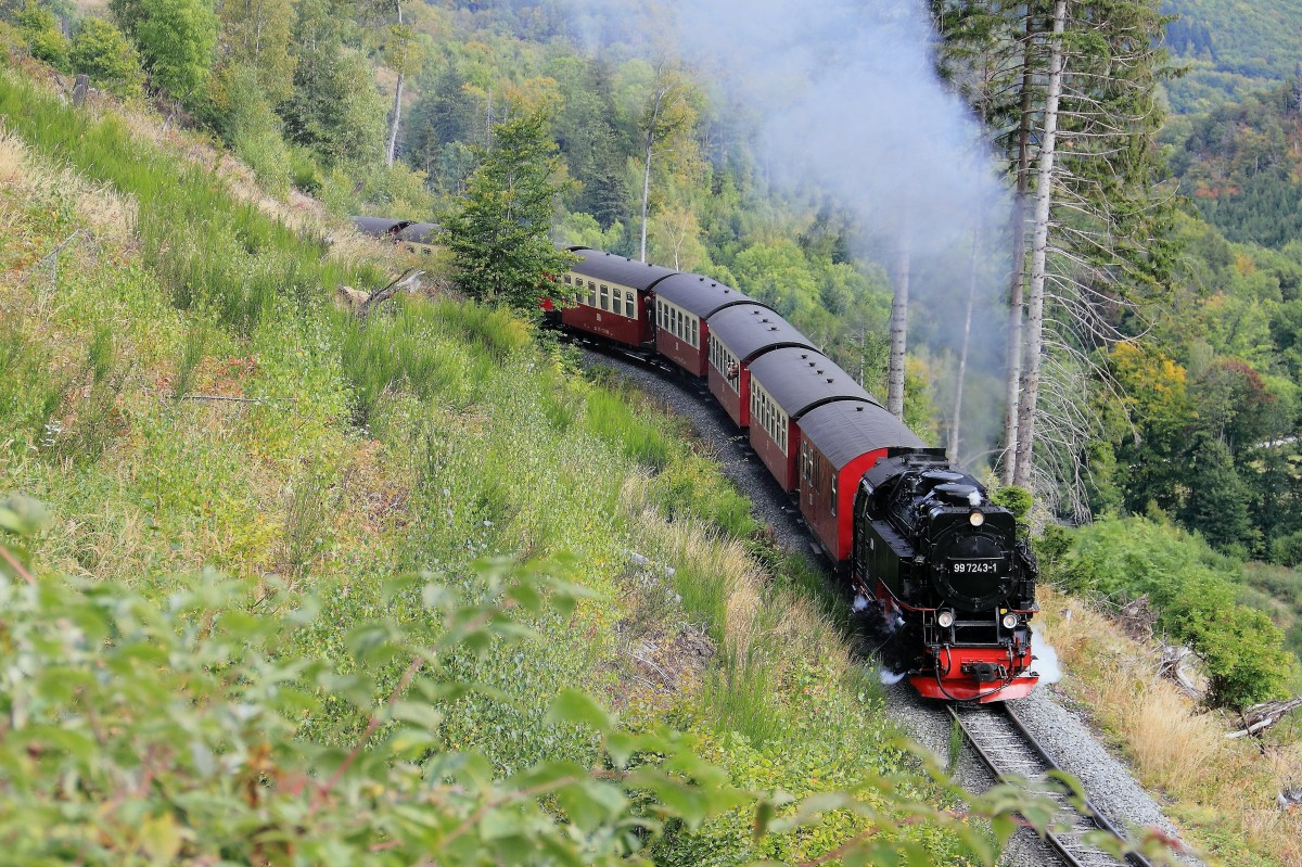 99 7243-5 kurz nach der Durchfahrt durch den einzigen 58 Meter langen Tunnel auf der Strecke der HSB am 23. September 2012.

Der Tunnel hat eine Länge von 58 Meter, berücksichtigt man die sichtbare Stützmauer und weitere ehemals vorhandene schräge Stützmauern zur Bauwerkslänge hinzu ergibt es eine Länge von 70 Meter (Quelle: http://www.eisenbahn-tunnelportale.de/lb/inhalt/tunnelportale/9700.html).