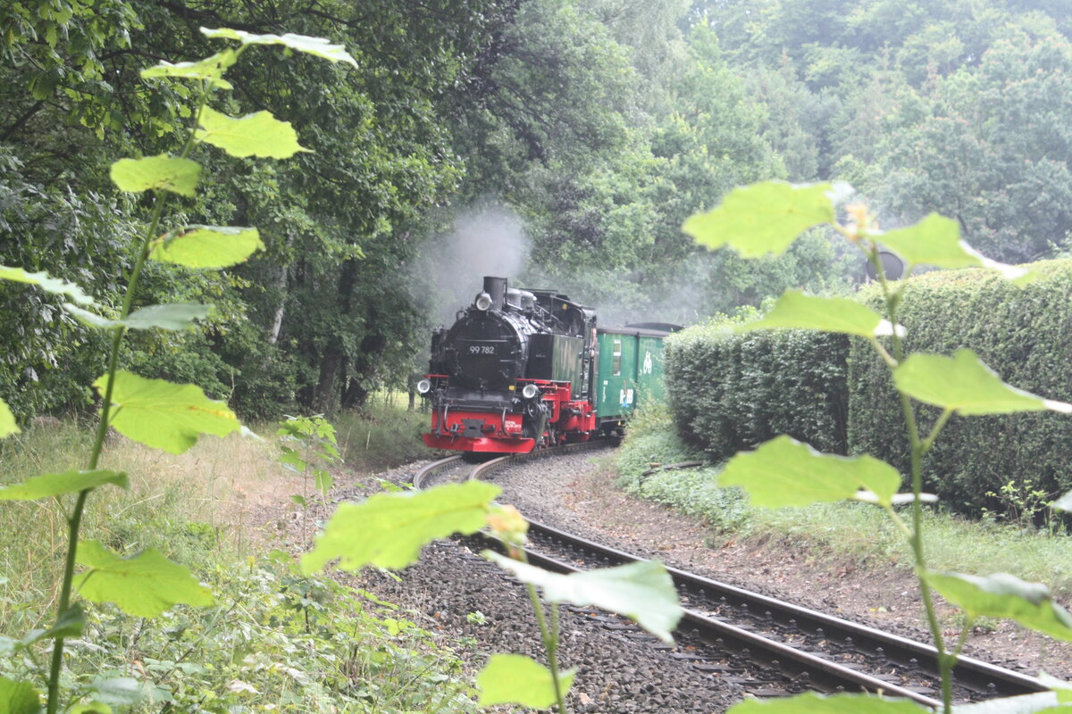 99 782 von Ostseebad G�hren kommend mit Ziel Lauterbach Mole kurz vor dem Bahnhof Binz LB am 28.7.21