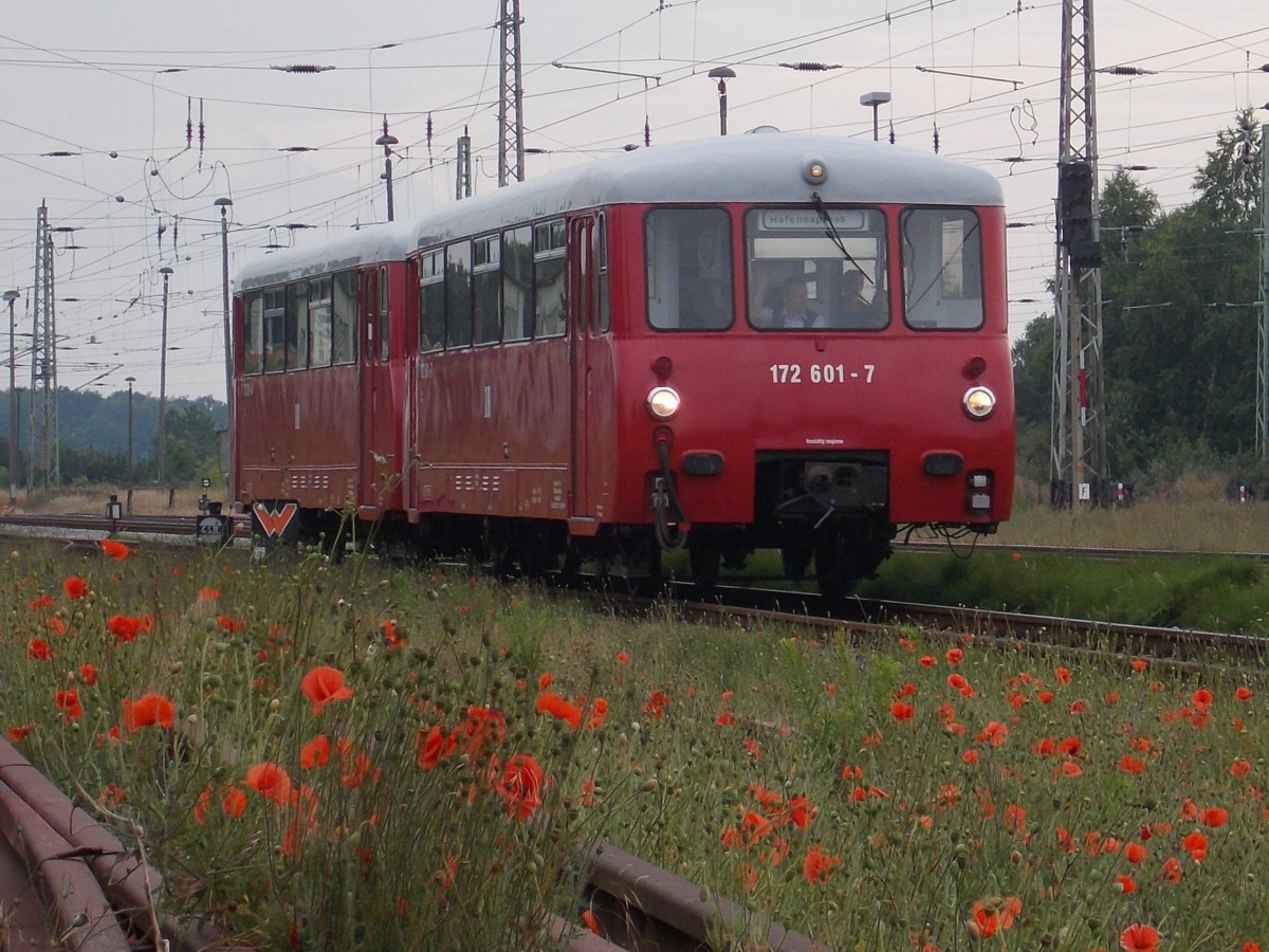 Am 12.Juli 2015 knatterte der Neustrelitzer 772 001/601 in den Bahnhof von Bergen/Rügen.