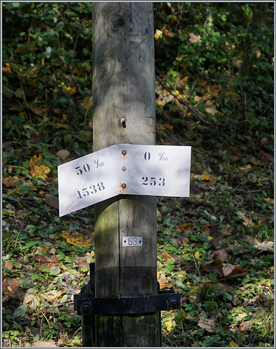 Am Fahrleitungsmast N° 63 im Wals oberhalb von Blonay verkünden Neigungsanzeiger das Ende der 1538 Meter langen 50 Promille Rampe von Blonay her. 

24. Okt. 2020