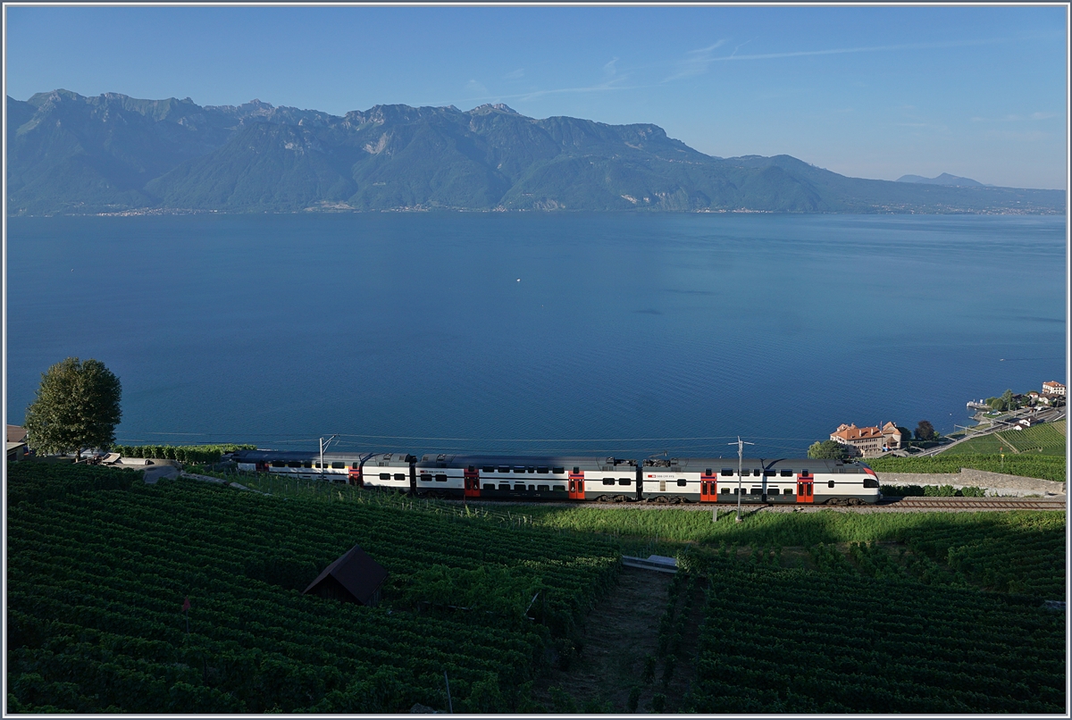 Am frühen Morgen ist eine SBB RABe 511 auf der Train des Vignes (Weinbergstrecke) oberhalb von St-Saphorin unterwegs. 

27. Juli 2018