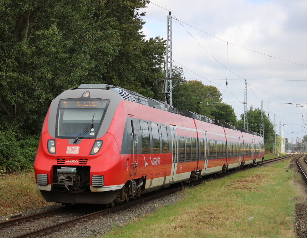 Am Vormittag des 23.08.2020 fuhr mir das Haustier als S1 von Warnemünde nach Rostock Hbf in Rostock-Bramow vor die Linse.