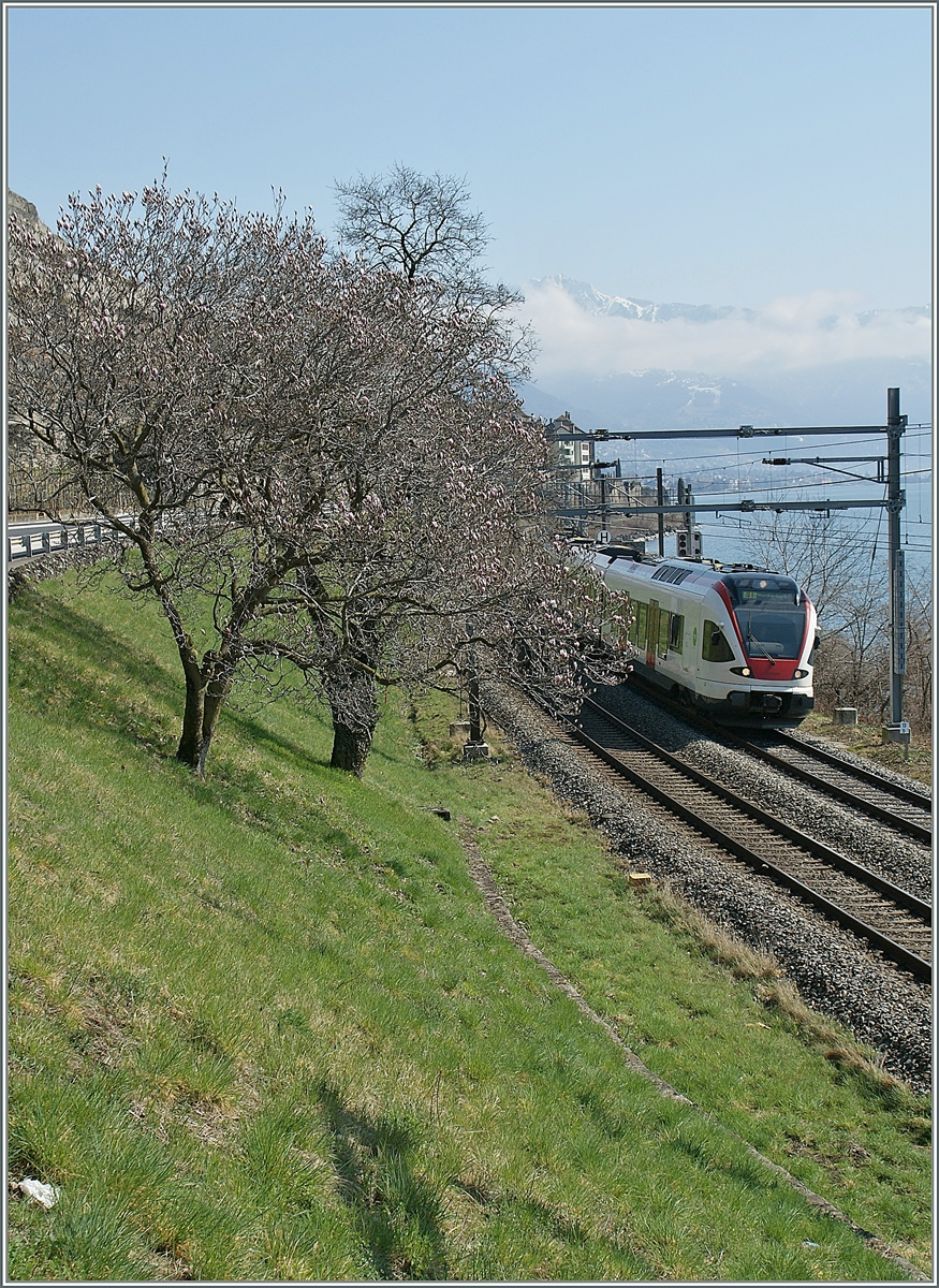 An der praktisch selben Stelle wie das vorangegangene Bild aber nun einen Standort unten am See mit einen Rivaz erreichenden Flirt. 

20. März 2012