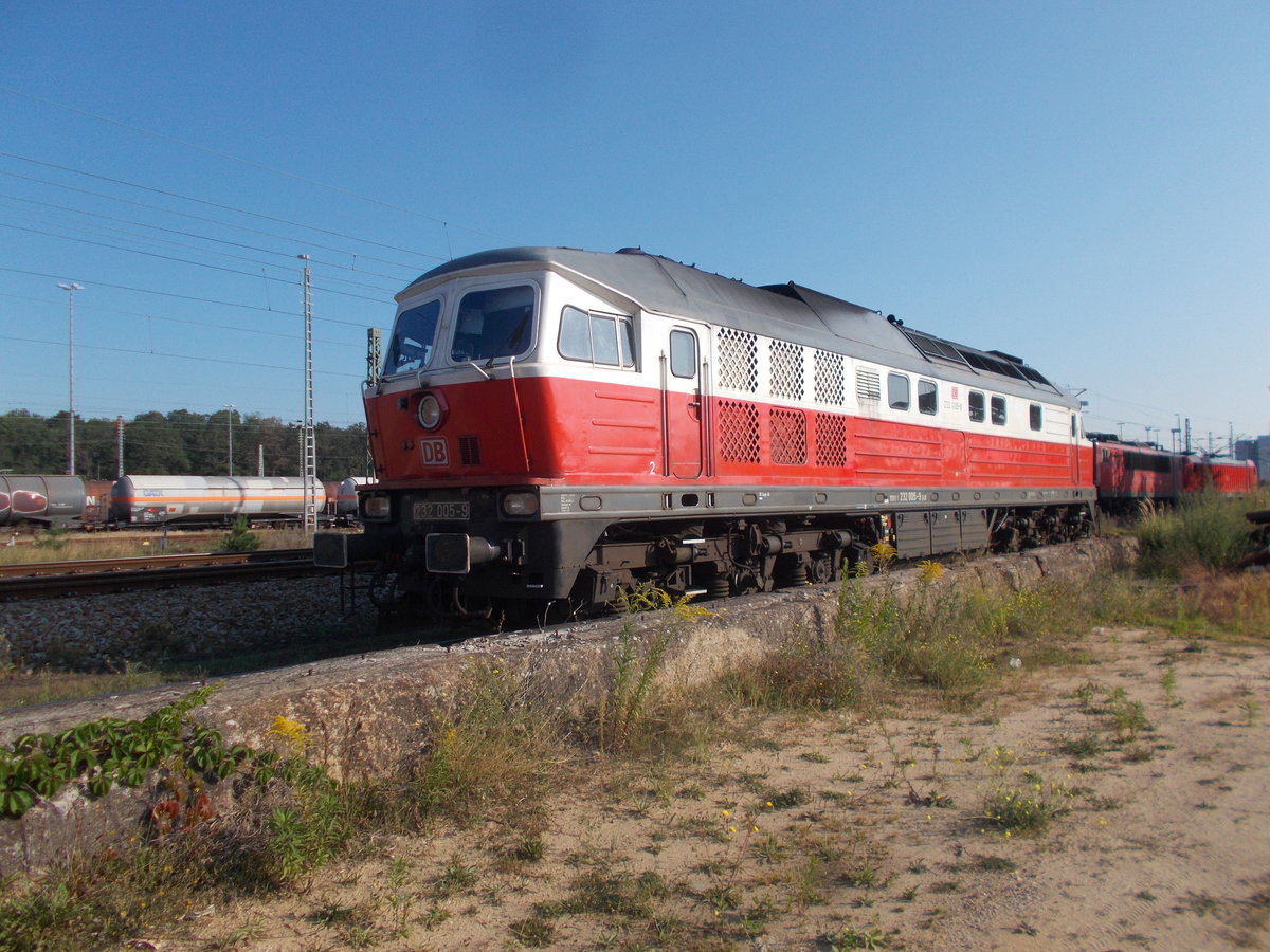 Auch als Ludmilafan mußte die EWR 232 005,am 24.August 2019,in Seddin fotografiert werden.