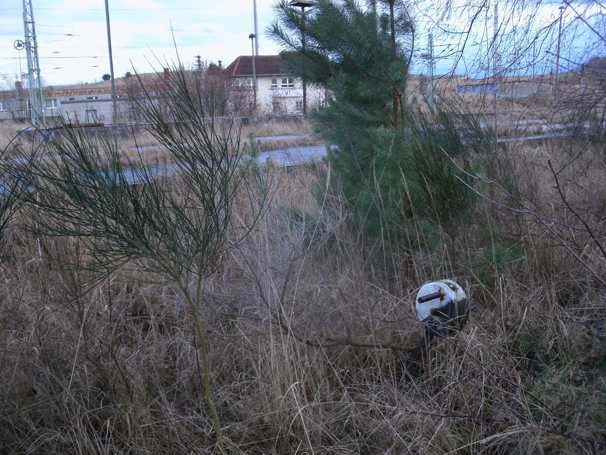 Auch diese Handweiche ist in der ehmaligen WÜST noch zufinden die ich 
,am 16.Februar 2014,fotografierte.